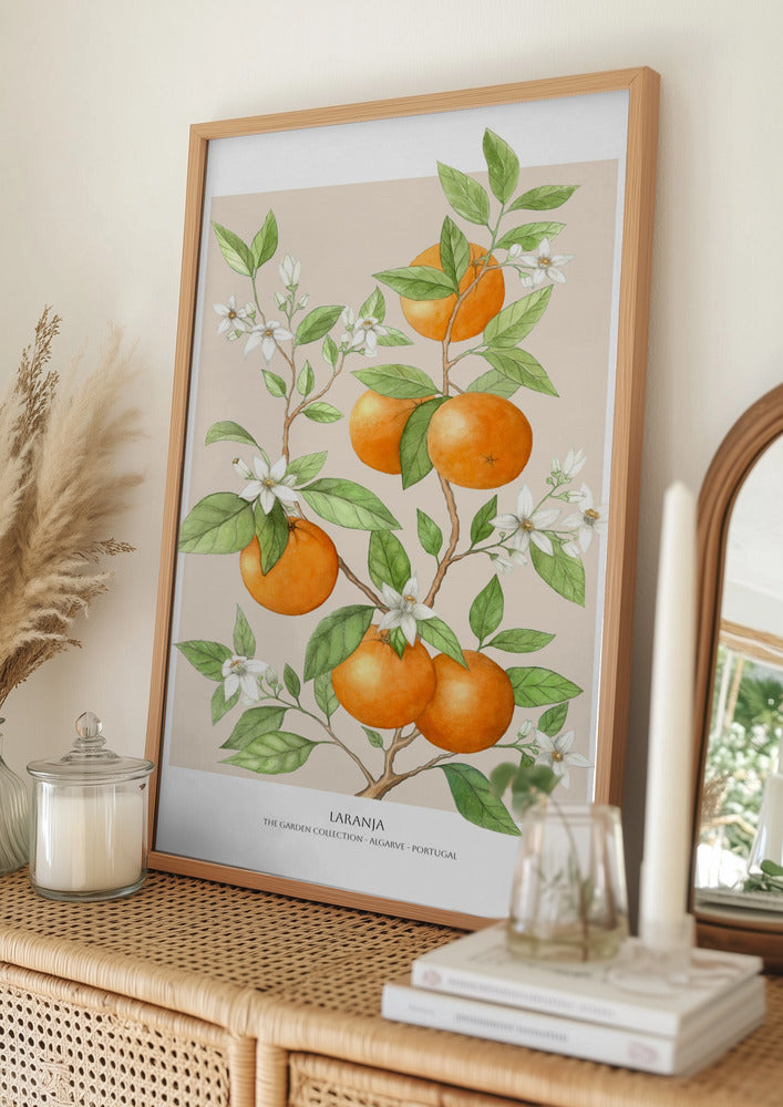 Laranja - Fruit Poster