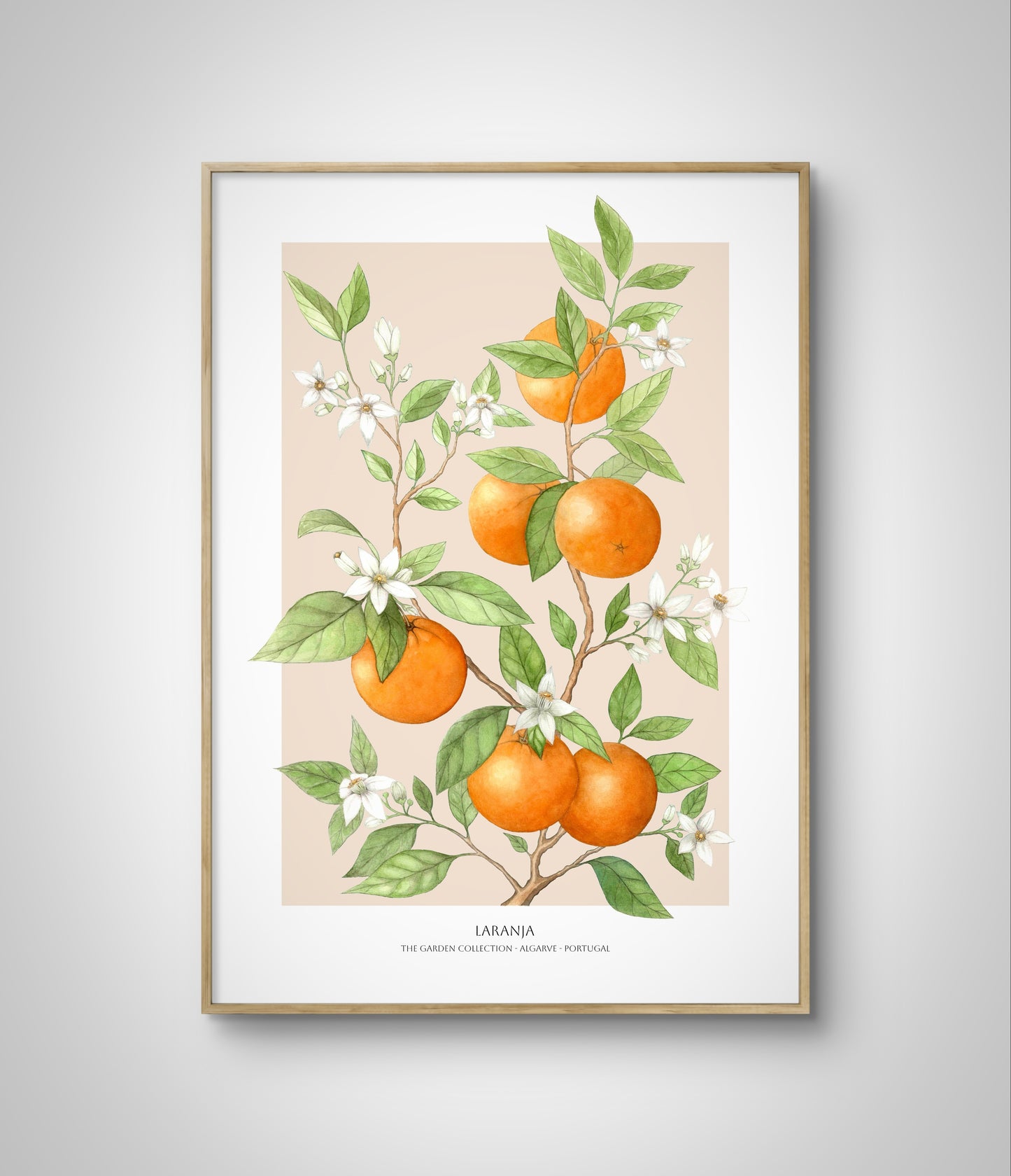 Framed fruit poster with oranges on a sand coloured background hanging on a white wall