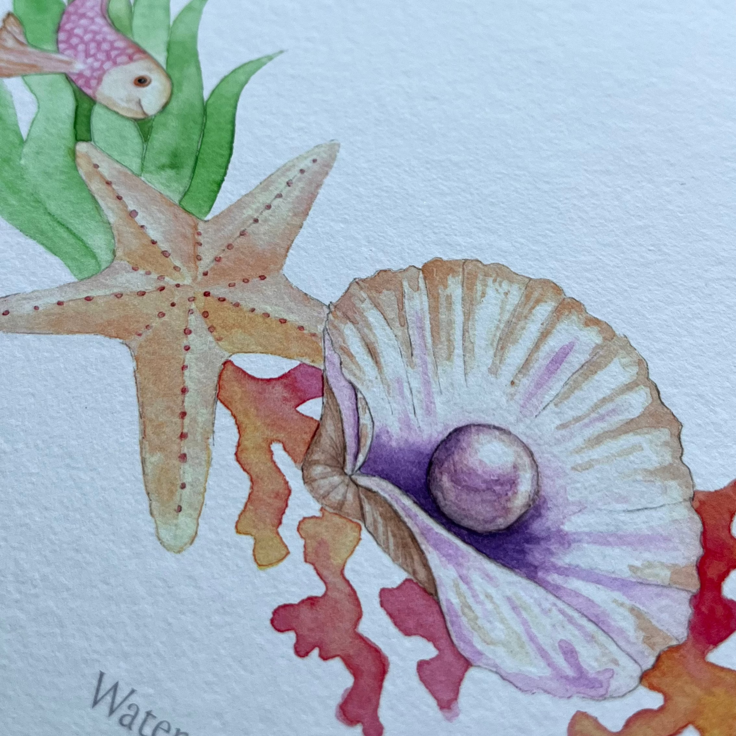 A close-up of a watercolor illustration printed on white paper, showing sea life motifs including a starfish, clam shell, fish, coral, and part of a turtle, with partial text including 'Amelie' and 'Watercolour by'.