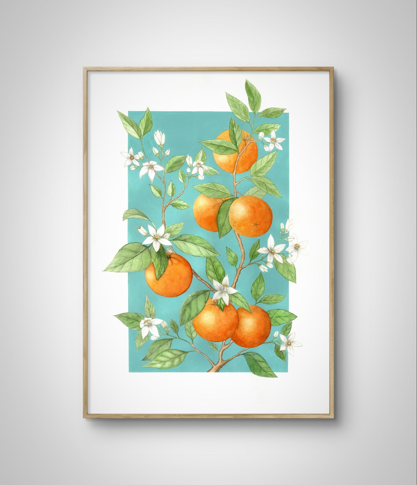 Art print of oranges on a branch with white flowers and green leaves on a vibrant blue background set in a minimalistic wooden frame on a white wall