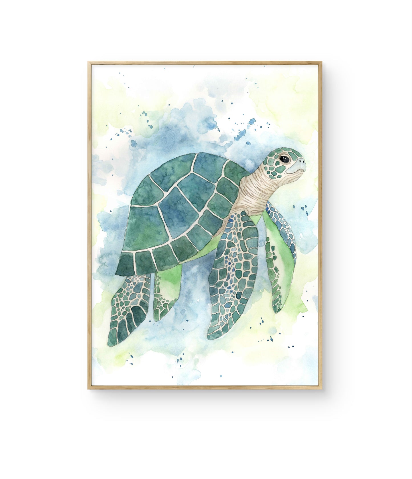 Sea Turtle