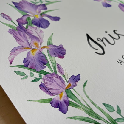 Illustration of purple irises with green leaves on a white background