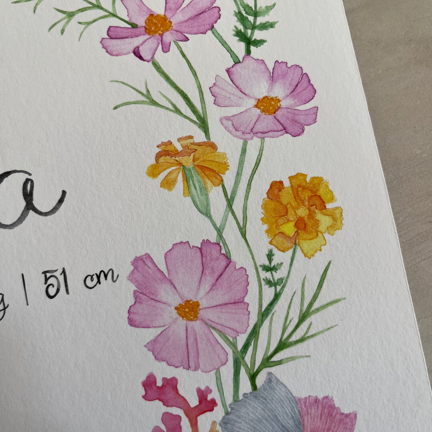 Details of watercolour children's name poster for zodiac sign Scorpio, personalised with name and birthdate  for baby girls