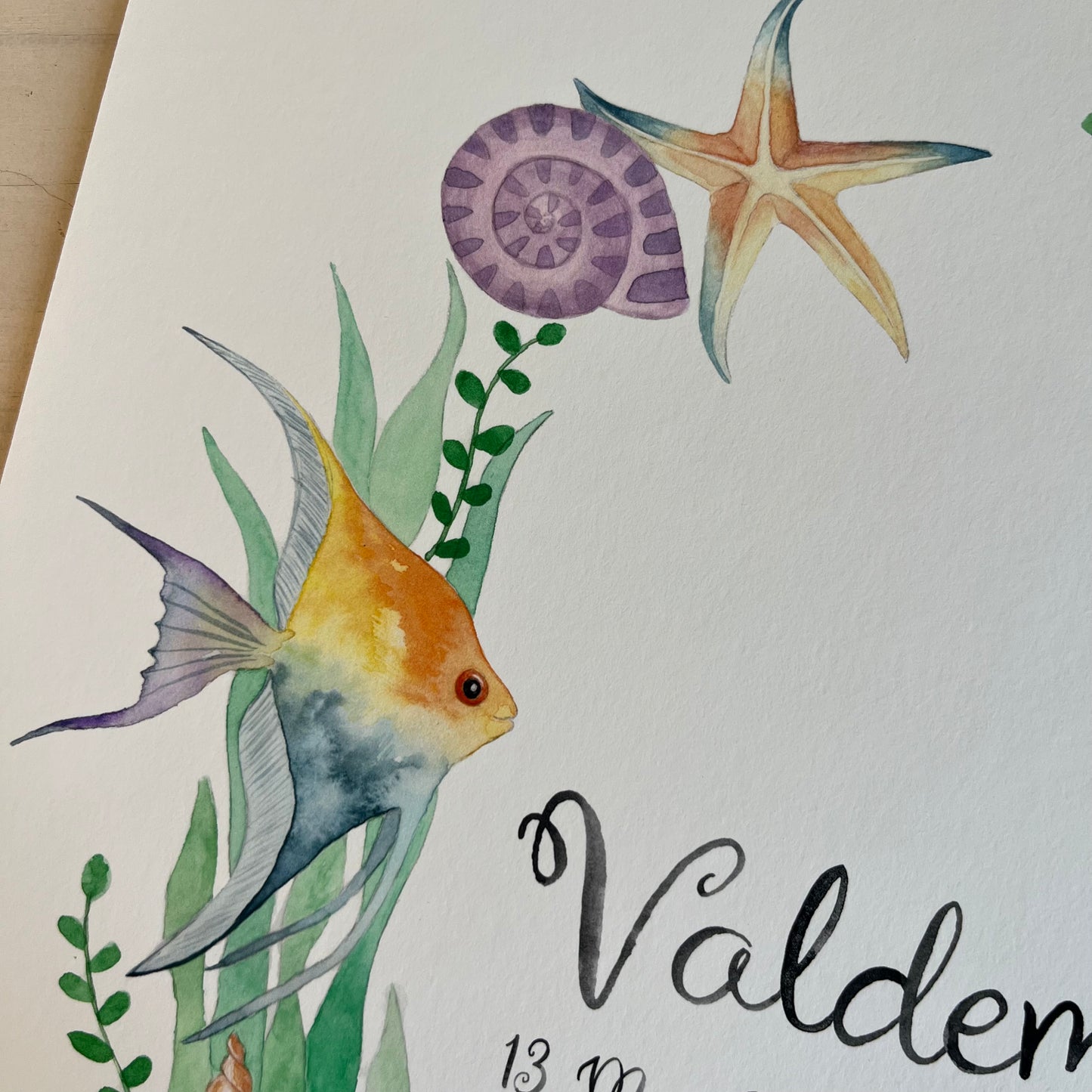 Illustration of a fish, starfish, and shell with child's name on a white background