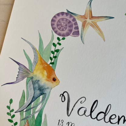 Illustration of a fish, starfish, and shell with child's name on a white background