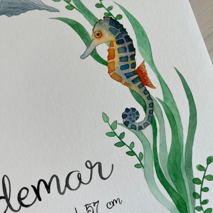 Birth poster llustration of a seahorse with green seaweed on a white background
