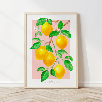 Framed artwork of lemons on a branch with leaves against a pink background