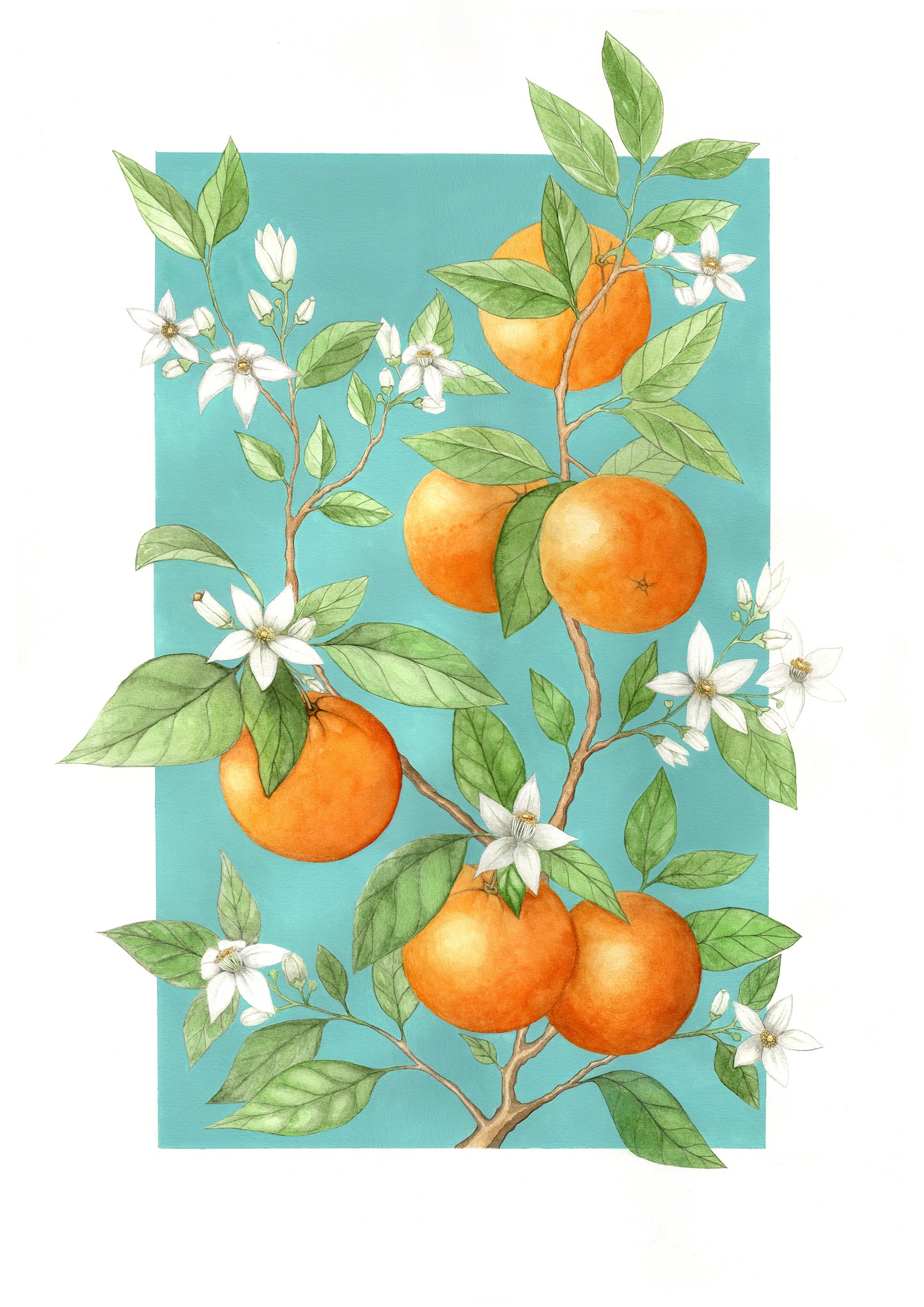 Laranja - Print