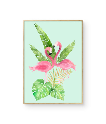 Fabelagtige Flamingoer