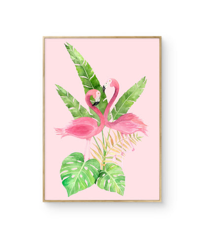 Fabelagtige Flamingoer